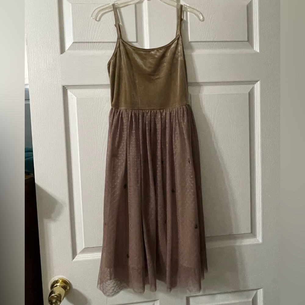 Velvet and Tulle Spaghetti Strap Tan Dress from Anthropologie